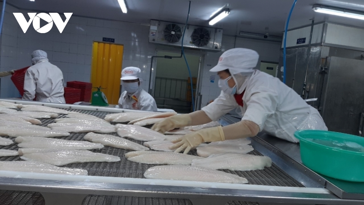 Two more companies permitted to export pangasius to EAEU